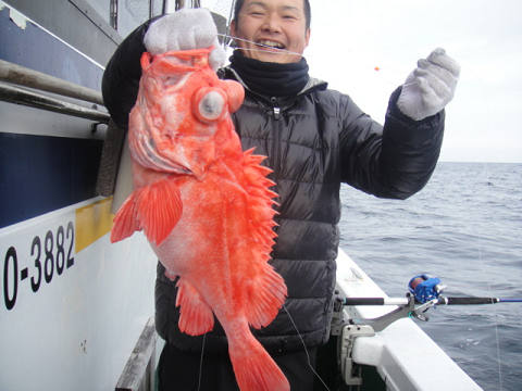 [Cނ