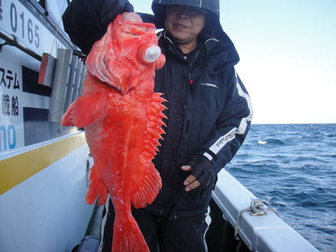 [Cނ