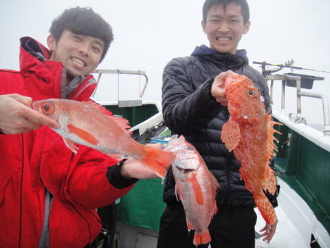 [Cނ