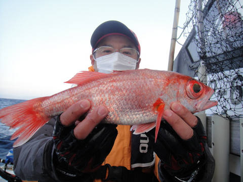 [Cނ