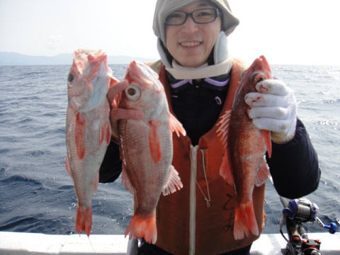 [Cނ