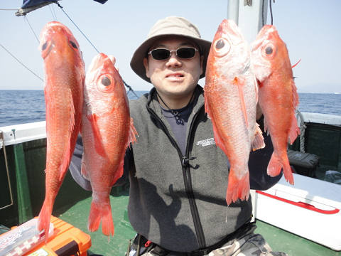 [Cނ
