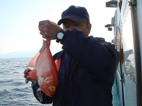 [Cނ