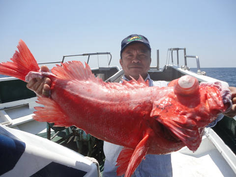[Cނ