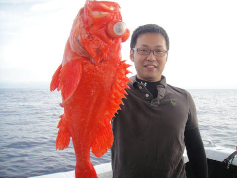 [Cނ