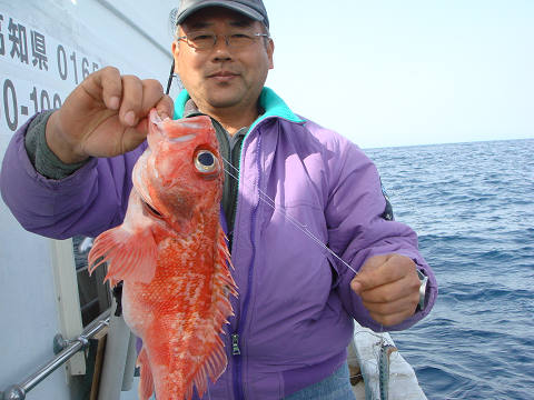 [Cނ