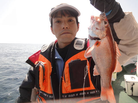 [Cނ