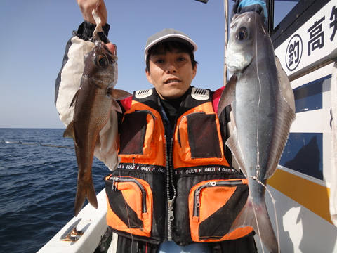 [Cނ
