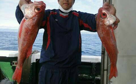 [Cނ