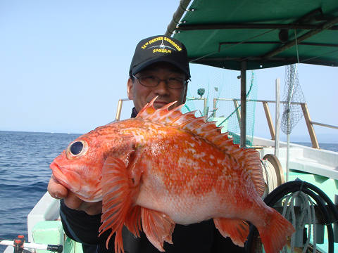 [Cނ