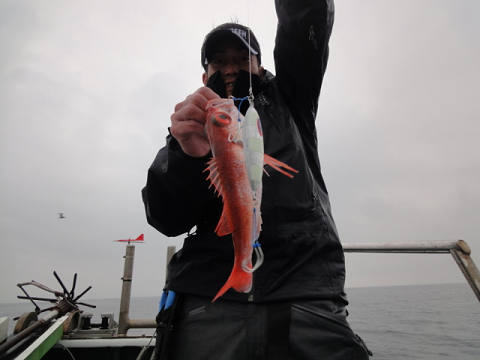 [Cނ