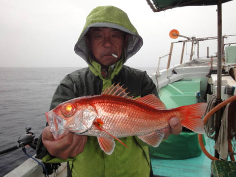 [Cނ