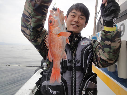 [Cނ