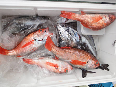 [Cނ