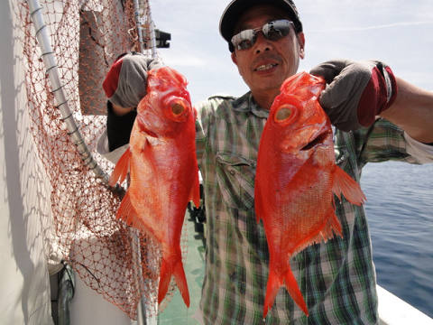 [Cނ