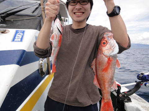 [Cނ