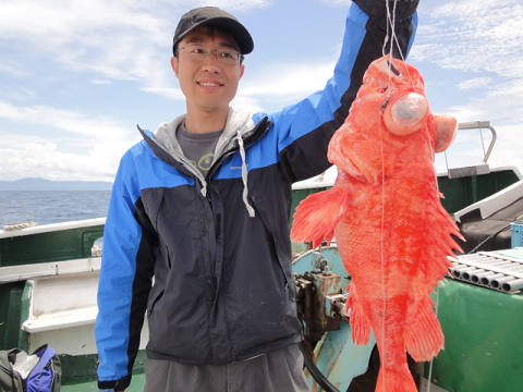 [Cނ