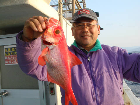 [Cނ
