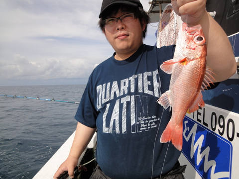 [Cނ