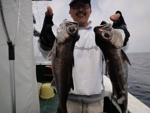 [Cނ