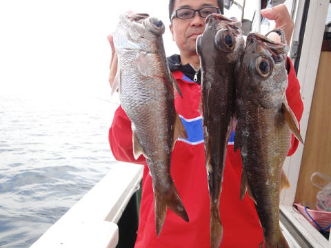 [Cނ
