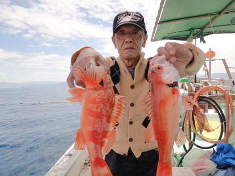 [Cނ