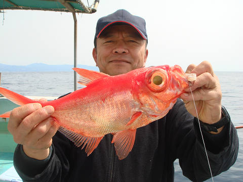 [Cނ