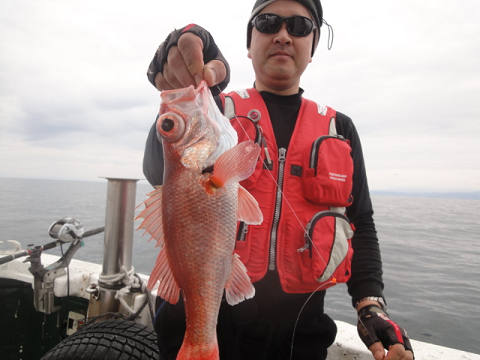 [Cނ