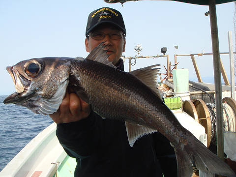 [Cނ