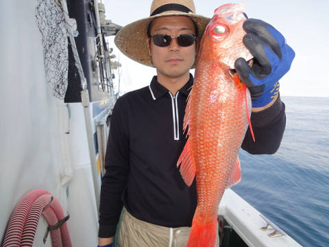 [Cނ