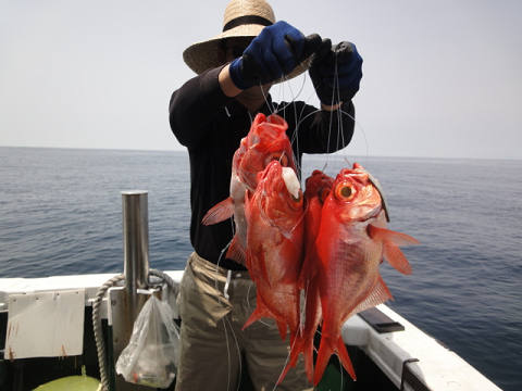 [Cނ