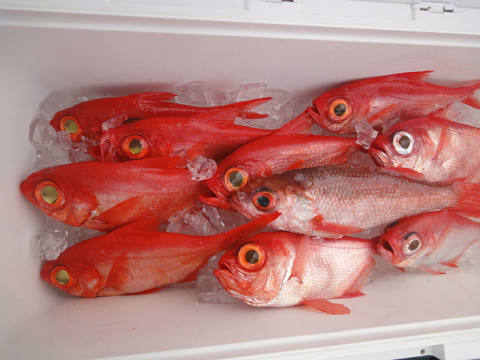 [Cނ