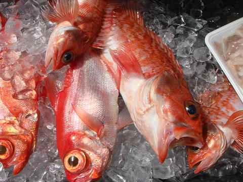 [Cނ