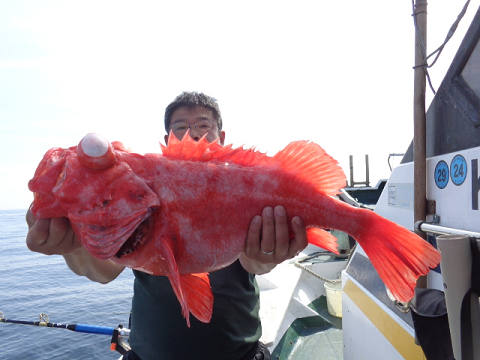 深海釣り