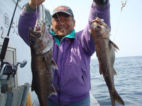 [Cނ