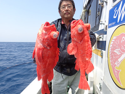 アコウ