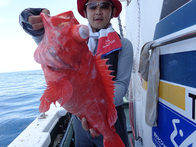 アコウ