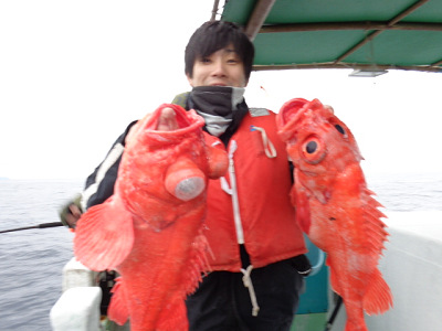 [Cނ