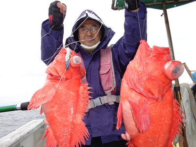 [Cނ