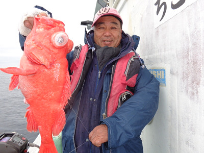 [Cނ