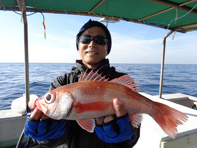 [Cނ