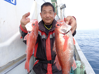 [Cނ