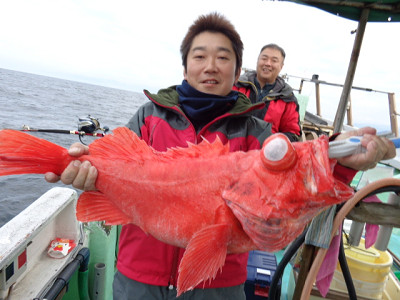 [Cނ