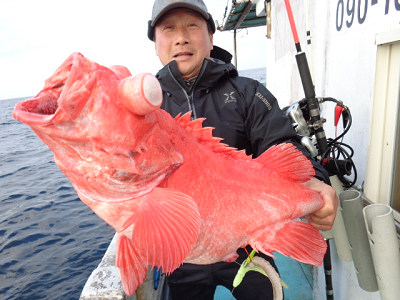 [Cނ