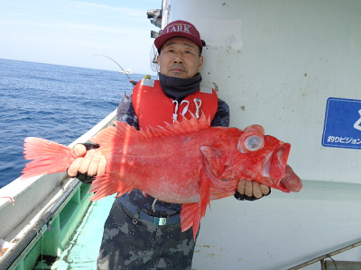 [Cނ