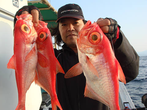 [Cނ