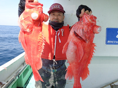 [Cނ