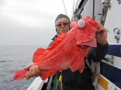 [Cނ