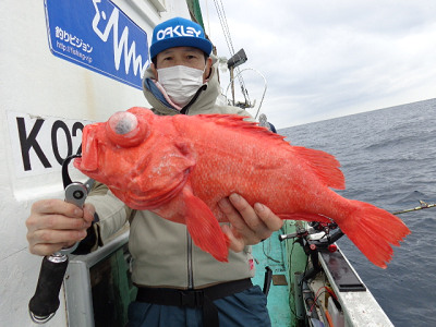 [Cނ