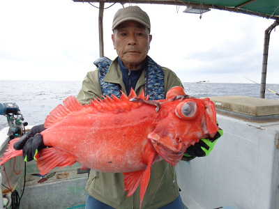 [Cނ